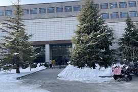 252525.jpg